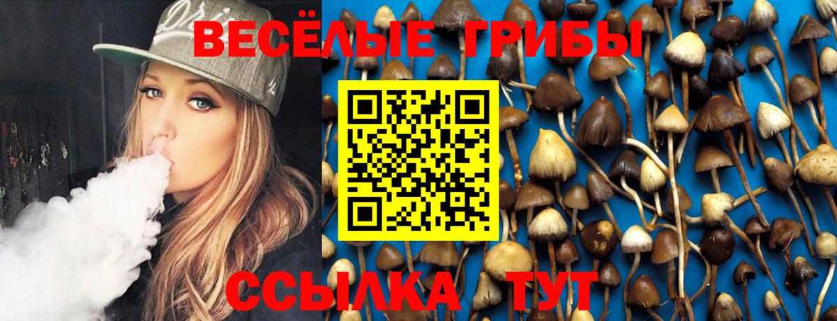 что такое   Вход с VPN  Семёнов  Галлюциногенные грибы Cubensis 